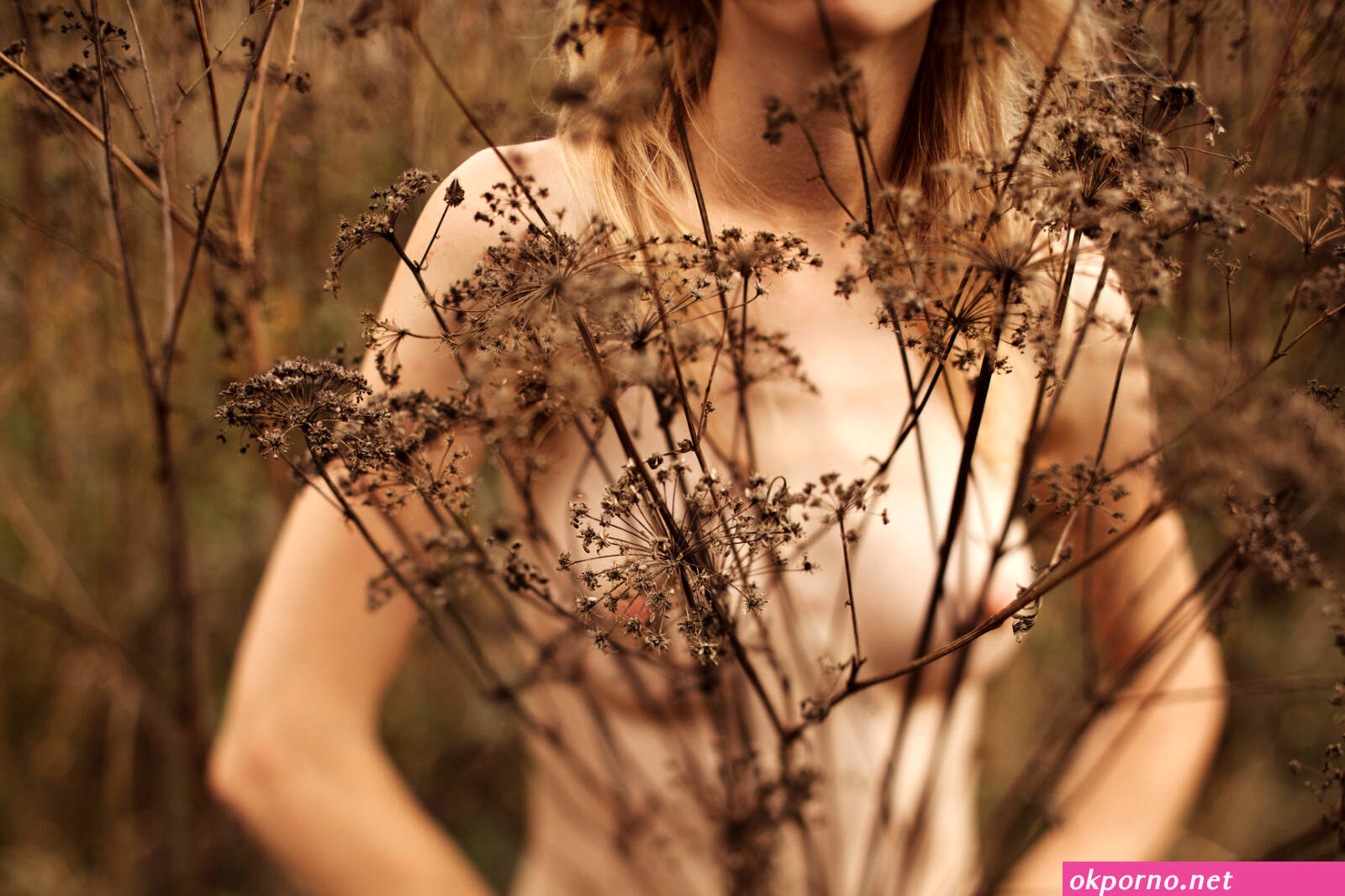 The Womens Wellness Collective