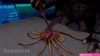facehugger pregnant hentai