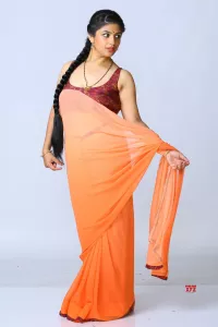 lahore desi aunty blouse images facebook