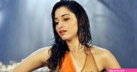 thoppul sexy sexy photos hd