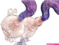 enormous tits nipple penetration hentai