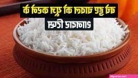 आट क ह ट फ श ब क फ ट