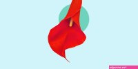 pics of hole in a pussy to put in a dick