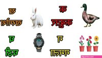 म ट ग ड व ल भ भ फ ट