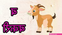 म ट ग ड व ल भ भ फ ट