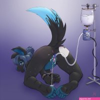 furry cub pics yiff