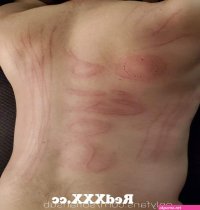 sofia dvir nude onlyfans leaks