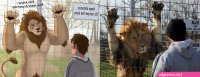 lion yiff sex vore with human