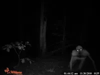 cam monster com