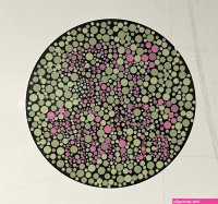 fuck the colorblind