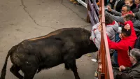 mujer cogida