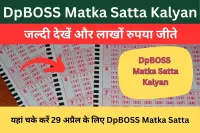 dpboss net