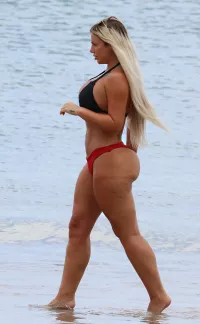 ass shelf