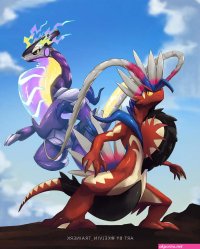 koraidon db