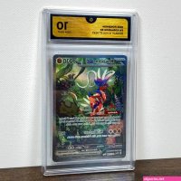 koraidon db