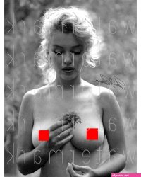Buy Marilyn Monroe Nude Signed 8x10 Photo Autograph Online in India