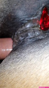 Fucking warm mare pussy