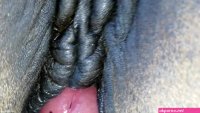 Dude with an uncut cock cums on a mares pussy