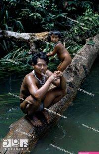 Barasana father Pacico and his son stand on log at river port Stock Photo Picture And Rights Managed Image. Pic. EUB-20087022