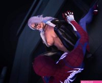 Spiderman black cat