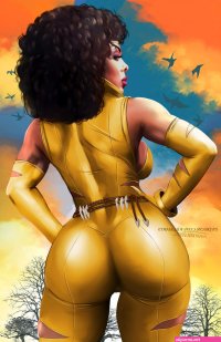 Vixen on Black-Superheroes
