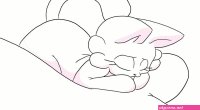 Lotion cat