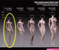 TBLeague S27B 16 Suntan Small Girl Seamless Body Medium Breast Action Figure