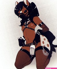 The Big ImageBoard TBIB