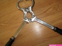 Judys Castration Jewels