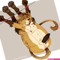 The Big ImageBoard TBIB
