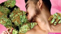 The Top Cannabis Strains For Sex With Sex Toy Pairings!