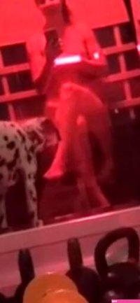 OnlyFans Amanda Cerny 💦 (46 photos and 1 video) - Page 3 image 31