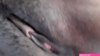 Kenya big pussy