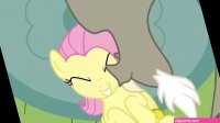 Fluttershy y Discord XXX
