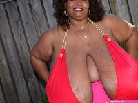Meet the woman with the biggest breasts in the world.. Norma Stitz no kidding