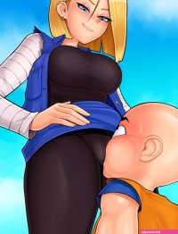 Krillin and Android 18