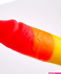 NS Novelties Colours Pride Edition 8 inch