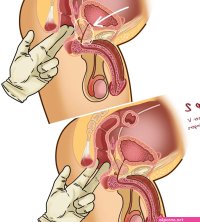 27 fingering techniques: How to finger vagina anus prostate