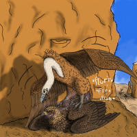 Rule 34