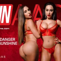 Die Nominierten für die 40. AVN Awards