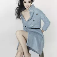 Li Bingbing