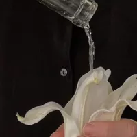 How To Make A Girl Squirt