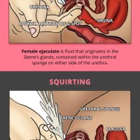What Is Squirt And Is Yellow Squirt Pee?