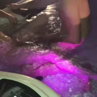 Teens Fuck in the Jacuzzi