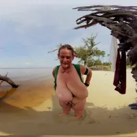 Driftwood Oak Top Change 360 Spherical 2d: American VR Beach Porn