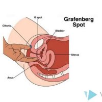 How to Make a Girl Squirt