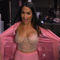 Hot Nikki Bella Photos