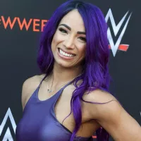 WWE Divas Nude Photos Videos Leaked Free