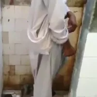 Arabic: Afghan cocks
