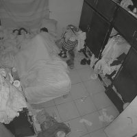 Homemade Lesbian Sex Tape